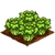 Lettuce-icon