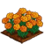 Marigold-icon