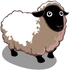 Sheep Adult-icon