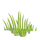 Grass