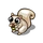 White Squirrel