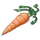 Carrot Treat-icon