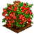Scarlet Wisteria-icon