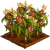 Maize-icon