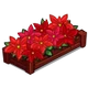 Red Poinsettas-icon