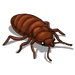 Inn Upgrade Bed Bug-icon