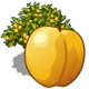 Apricot Tree-icon