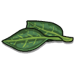 Leaves-icon