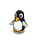Black Penguin