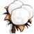 Cotton-icon