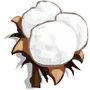 Cotton-icon