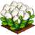 Marshmallow Crop-icon