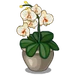 Orchid-icon
