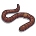 Earthworm-icon
