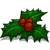 Holly Wreath-icon
