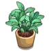 Potted Sage-icon