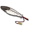 Eagle Feather-icon