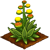 Blooming Agave-icon