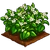 Stevia-icon