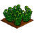 Fiddlehead Fern-icon