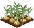 Garlic-icon