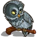 Gray Owl-icon