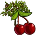 Cherry Tree-icon