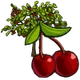 Cherry Tree-icon