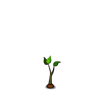 Peach Tree Seedling-icon