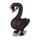 Black Swan