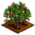 Red Huckleberry-icon