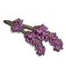 Lavender Flower-icon