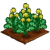 Yellow Mustard-icon