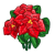 Pointsettias-icon