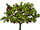 Cherry Tree Fruit-icon.png