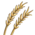 Wheat-icon