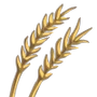Wheat-icon