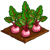 Pink Beets-icon