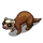 Brown Ferret