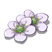 Waterfall Buttercup-icon