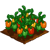 Bell Pepper-icon