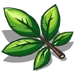 Hickory Leaves-icon