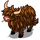 Brown Highland Cow