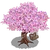 Kissing Tree-icon