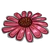Pink Flower-icon
