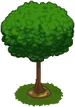 Oak Sapling-icon