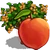 Peach Tree-icon