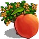 Peach Tree-icon