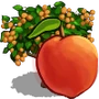 Peach Tree-icon