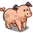 Pig Adult-icon